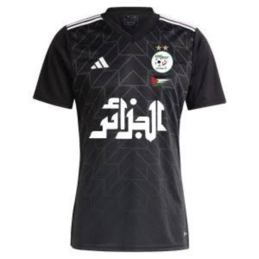maillot concept dz-palestine